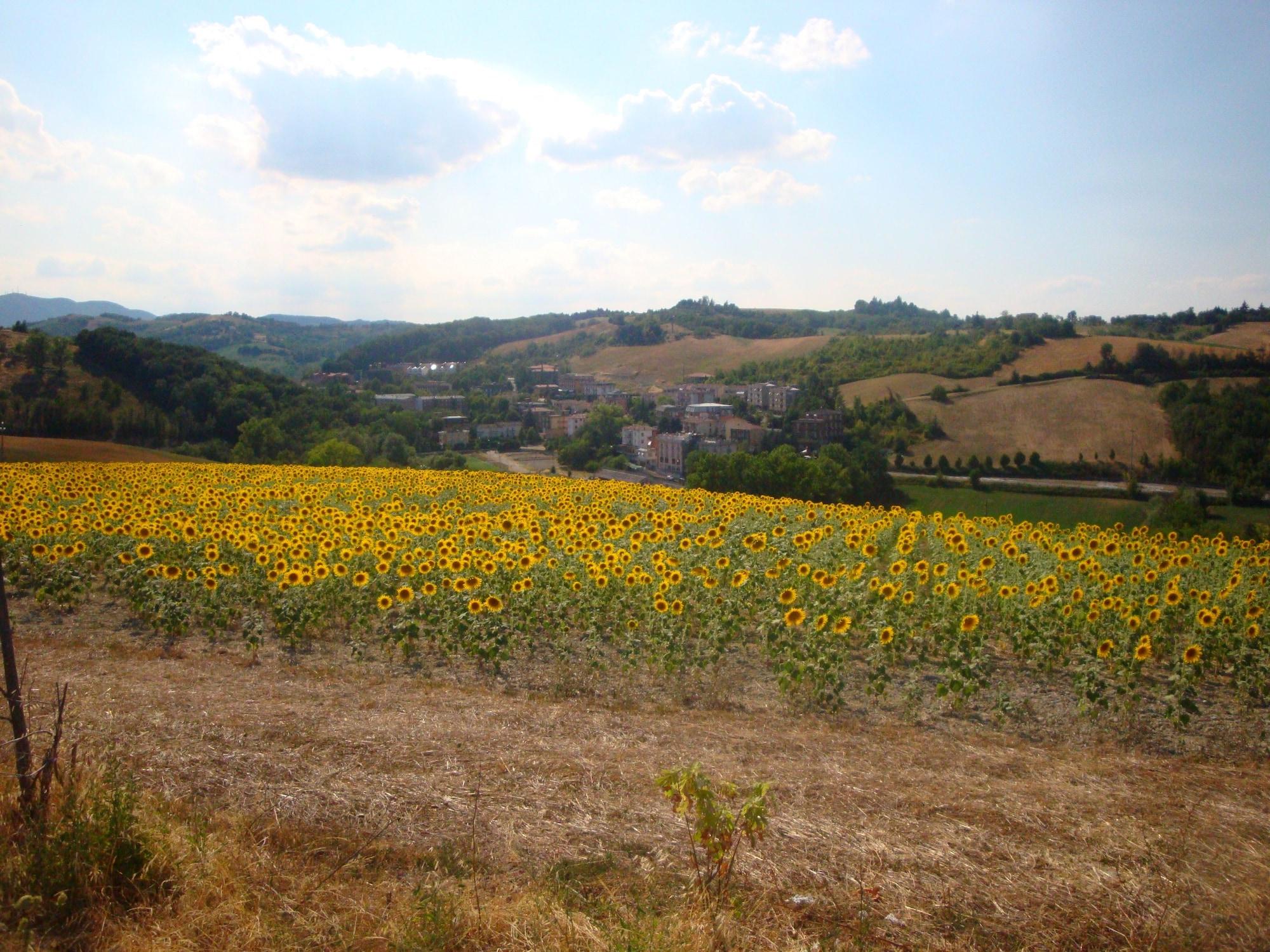 Garden Hotel Tabiano Salsomaggiore Terme Zewnętrze zdjęcie
