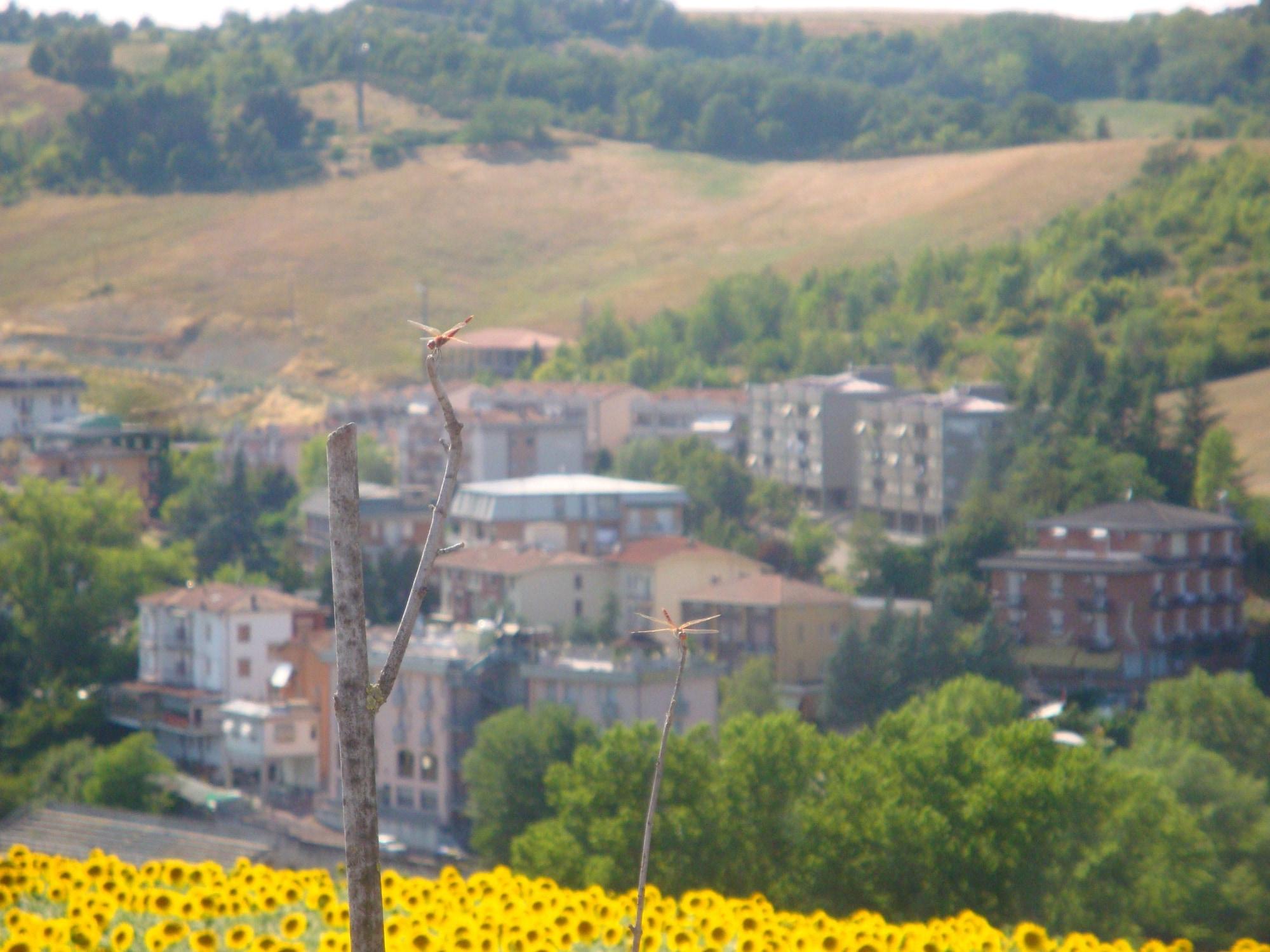 Garden Hotel Tabiano Salsomaggiore Terme Zewnętrze zdjęcie